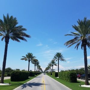 Meet your Posher, Patrick